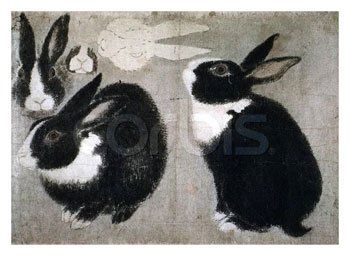 Sketches of a Black and White Rabbit by Maruyama Okyo, vintage art, modern poster print