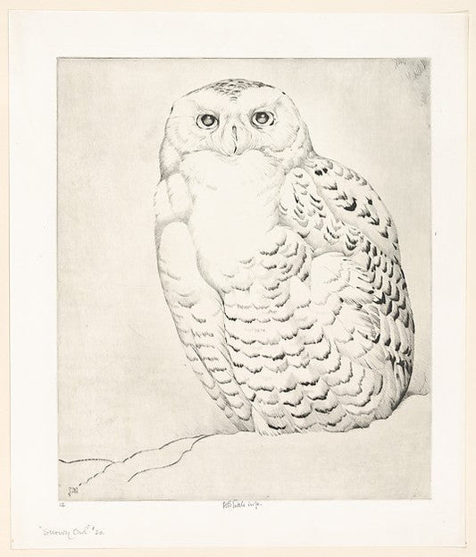 Snowy Owl 1926-Henry Emerson Tuttle , vintage art, A3 (16x12") Poster Print