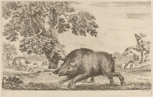 Stefano Della Bella:Boar Running to the Left,16x12"(A3) Poster