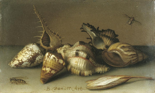 Still Life with Shells, vintage artwork by Balthasar van der Ast, 12x8" (A4) Poster