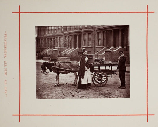 Strawberries. All ripe! All ripe! by  John Thomson,23x16"( A2 size ) Poster Print