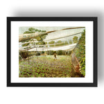 strawberry beds by Eric Ravilious, 17x13" Frame