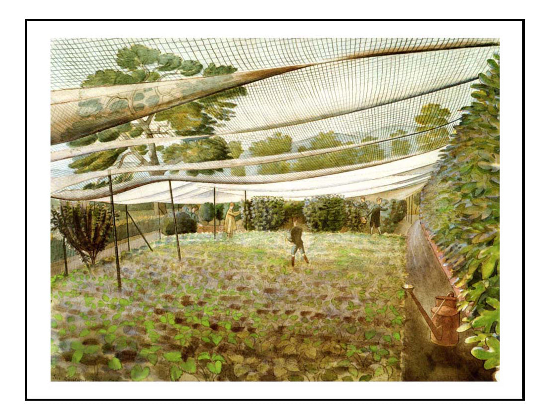 Strawberry Nets and Bedsby Eric Ravilious -A4 Poster