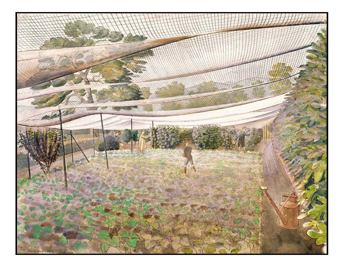Strawberry Nets (1932), Classic Art by Eric Ravilious, vintage art, A3 (16x12") Poster Print