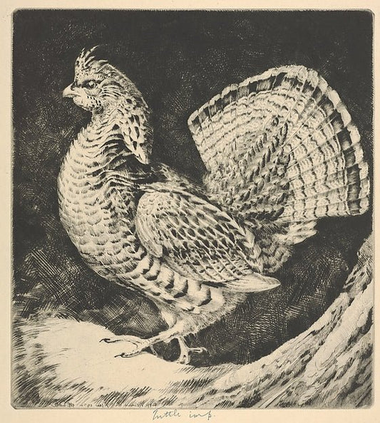 Strutting Cock 1932-Henry Emerson Tuttle , vintage art, A3 (16x12") Poster Print