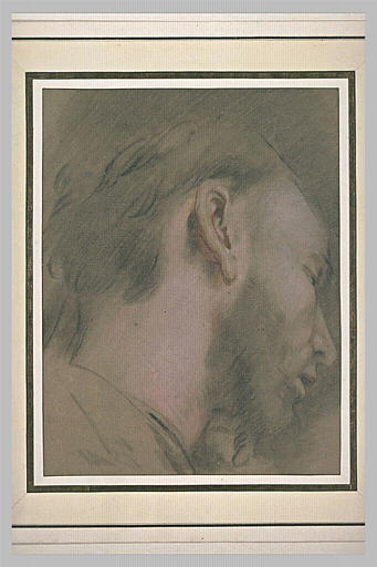 Study of a Bearded Man, head Facing Right, vintage artwork by Federico Barocci, 12x8" (A4) Poster