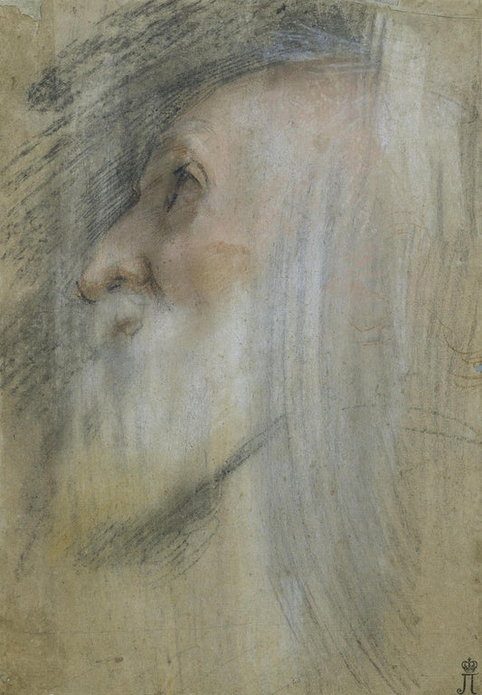 Study of an Old Man's Head, vintage artwork by Federico Barocci, 12x8" (A4) Poster