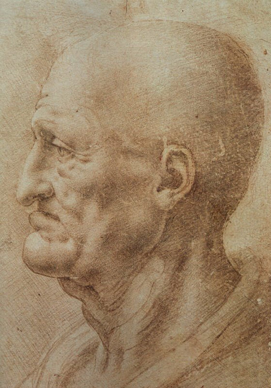 Study of an Old Man's Profile, vintage artwork by Leonardo da Vinci, A3 (16x12") Poster Print