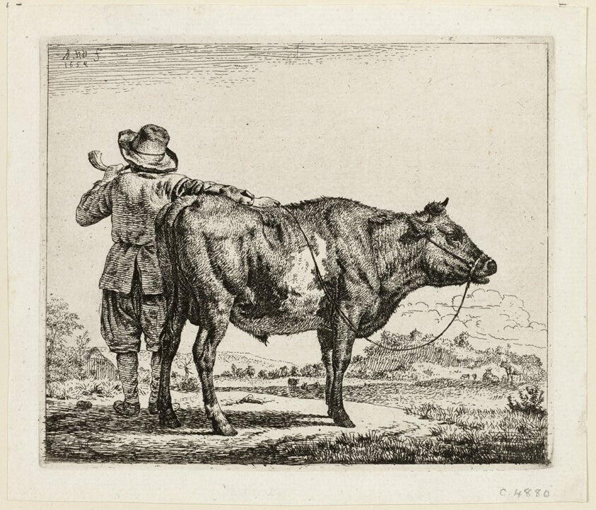 The Cowherd and the Bull by  Adriaen van de Velde, 23x16"( A2 size) Poster Print