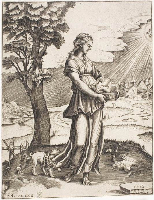 The Cumaean Sybil by  Agostino dei Musi (Italian, c. 1490-after 1536), 23x16"( A2 size) Poster Print
