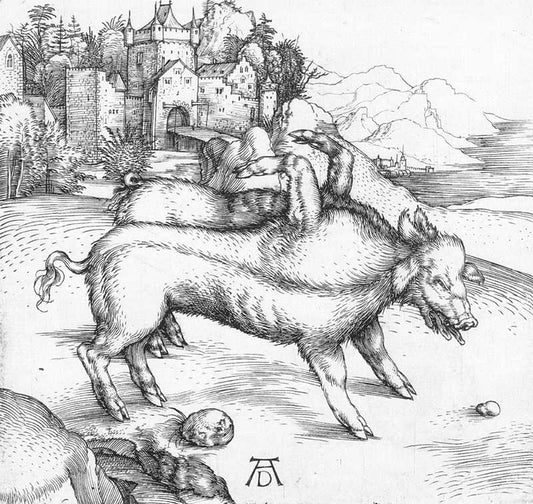 The Deformed Landser Sow, vintage artwork by Albrecht Dürer, A3 (16x12") Poster Print