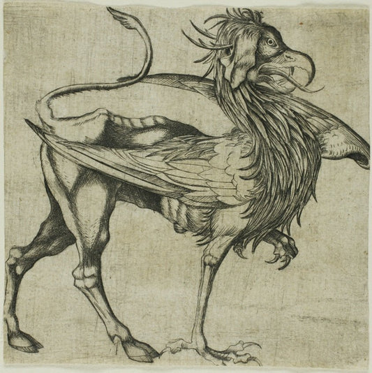 The Griffin by  After Martin Schongauer, 23x16"( A2 size ) Poster Print