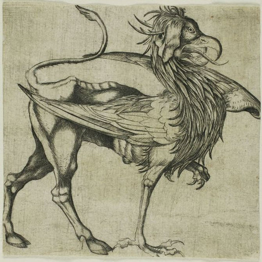 The Griffin, vintage artwork by Martin Schongauer, A3 (16x12") Poster Print