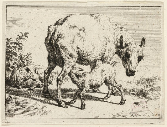The Lamb by  Adriaen van de Velde, 23x16"( A2 size) Poster Print