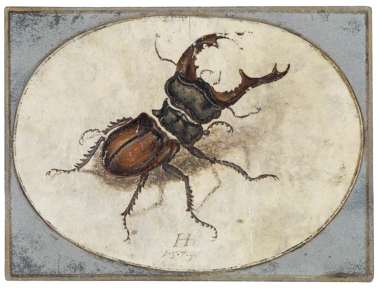 The Stag Beetle, vintage artwork by Hans Hoffmann, A3 (16x12") Poster Print