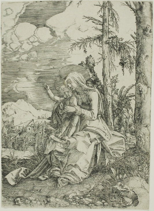 The Virgin with the Blessing Child in a Landscape by  Albrecht Altdorfer, 23x16"( A2 size) Poster Print