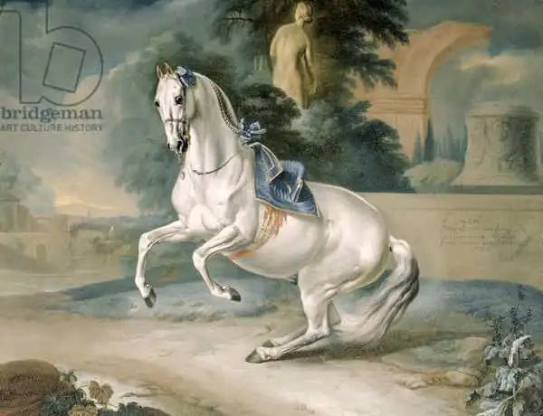 The White Stallion "Leal" en Levade by J. G. Hamilton, vintage art, modern poster print