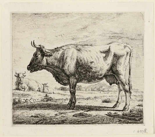 Two Cows and a Sheep by  Adriaen van de Velde, 23x16"( A2 size) Poster Print