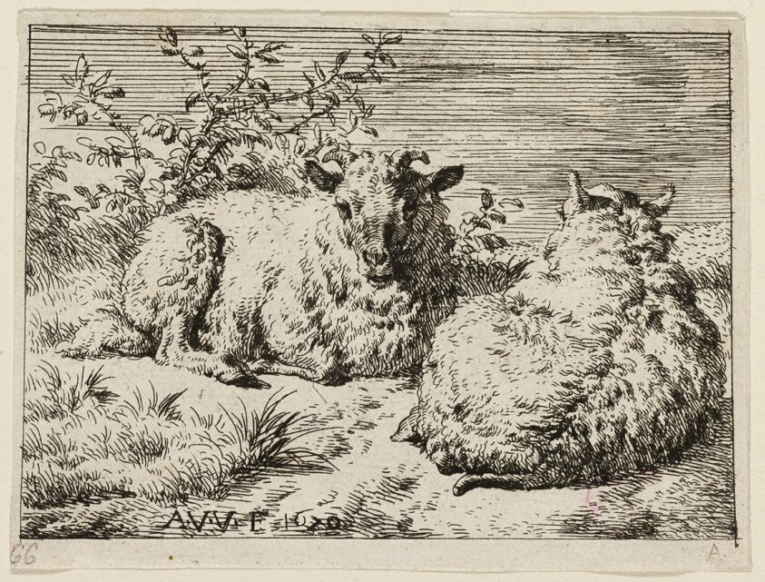 Two Sheep by  Adriaen van de Velde, 23x16"( A2 size) Poster Print