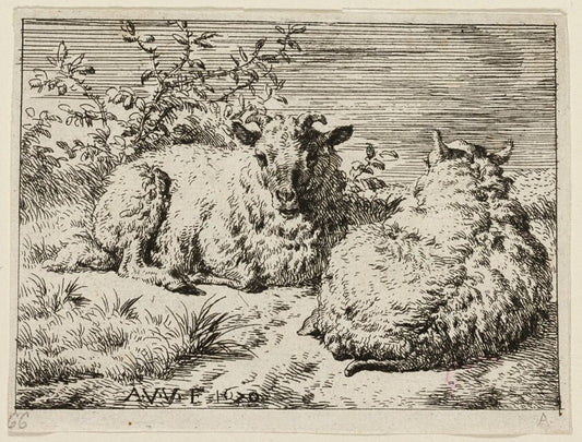 Two Sheep by  Adriaen van de Velde, 23x16"( A2 size) Poster Print