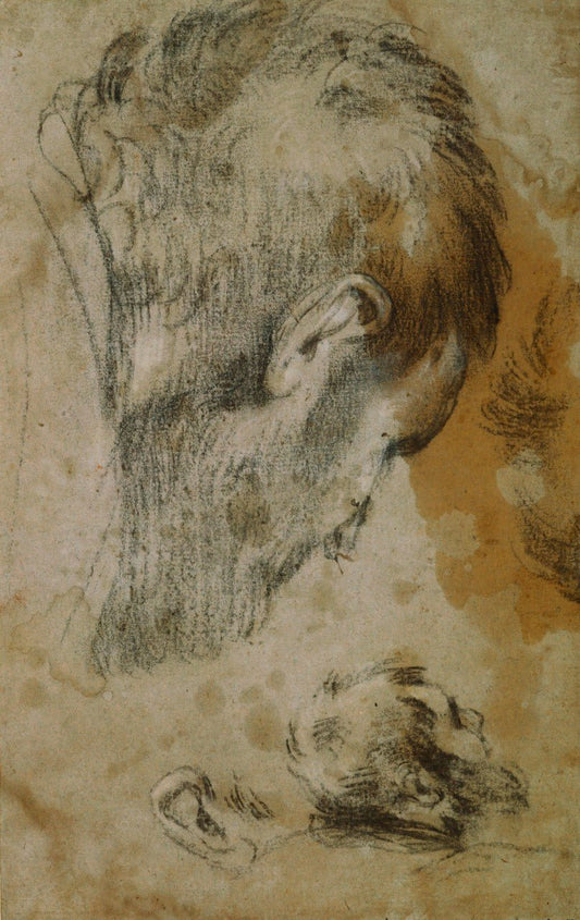 Two Studies of the Head of a Bearded Man, vintage artwork by Jacopo Bassano, A3 (16x12") Poster Print