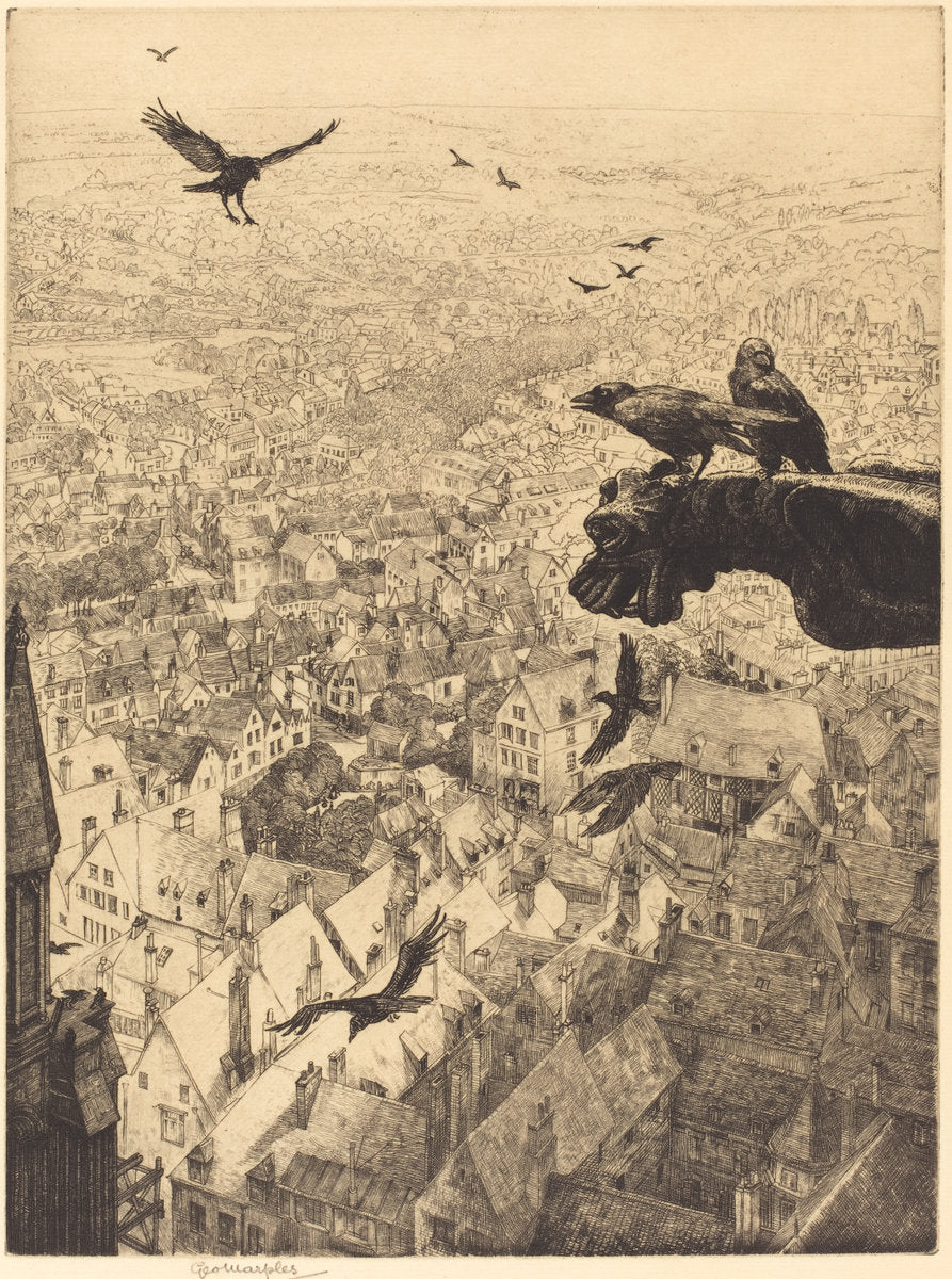 Jackdaws of Chartres by George Marples (British, 1869 - 1939), 16X12"(A3)Poster Print