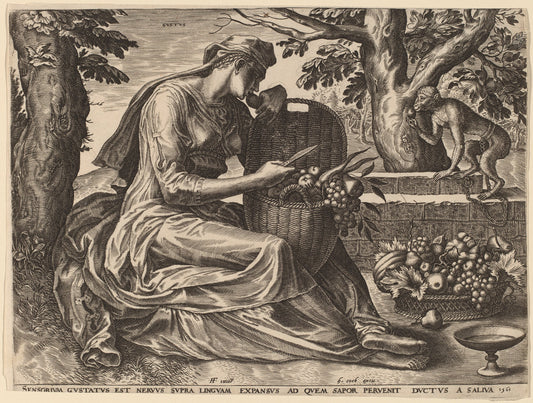 Gustus by Cornelis Cort after Frans Floris I (Netherlandish, 1533 - 1578), 16X12"(A3)Poster Print