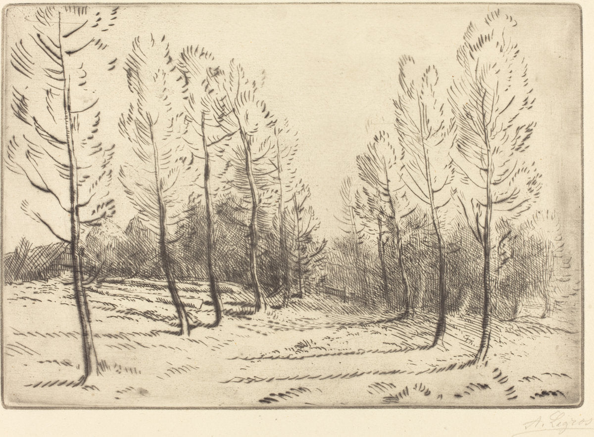Avenue of Poplars (L'allee de peupliers) by Alphonse Legros (French, 1837 - 1911), 16X12"(A3)Poster Print