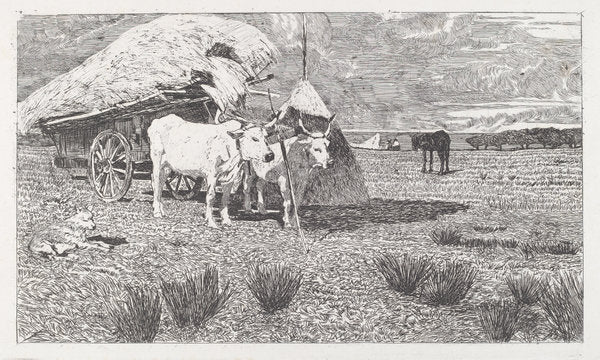 Oxen Yoked to the Cart (Maremma) [Bovi al carro (Maremma)] by Giovanni Fattori (Italian, 1825 - 1908), 16X12"(A3)Poster Print