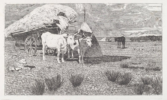 Oxen Yoked to the Cart (Maremma) [Bovi al carro (Maremma)] by Giovanni Fattori (Italian, 1825 - 1908), 16X12"(A3)Poster Print