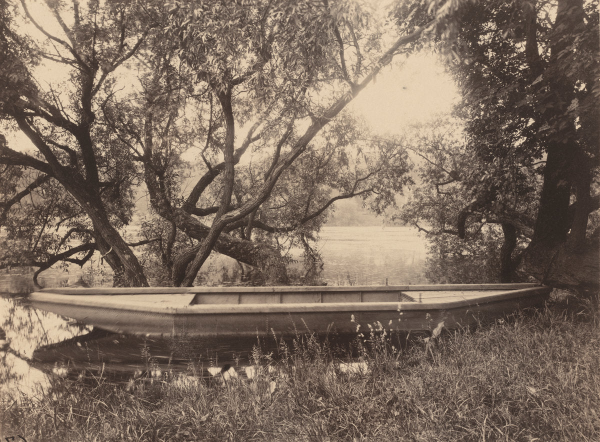 Étang de Corot, Ville-d'Avray (Corot's Pond, Ville-d'Avray) by Eugène Atget (French, 1857 - 1927), 16X12"(A3)Poster Print