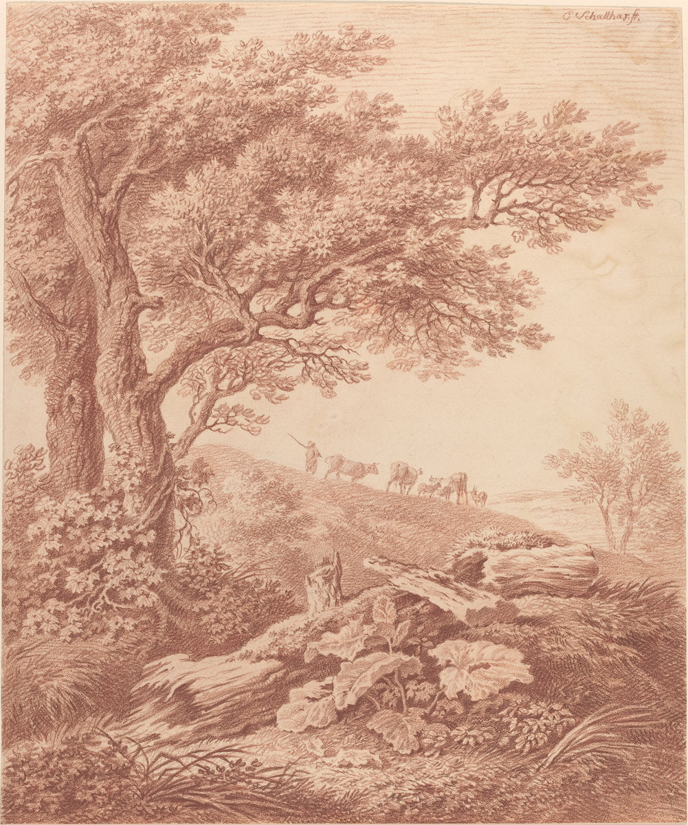 Ancient Trees in a Pastoral Landscape by Carl Philipp Schallhas (Austrian, 1767 - 1797), 16X12"(A3)Poster Print