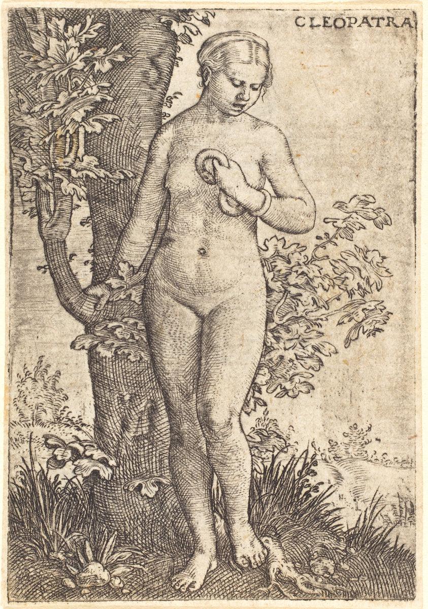 Cleopatra by Barthel Beham (German, 1502 - 1540), 16X12"(A3)Poster Print