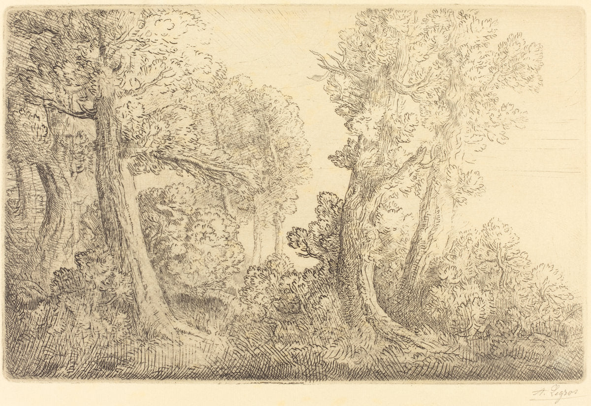Near the Woods, Veronne (Pres du bois, Veronne) by Alphonse Legros (French, 1837 - 1911), 16X12"(A3)Poster Print