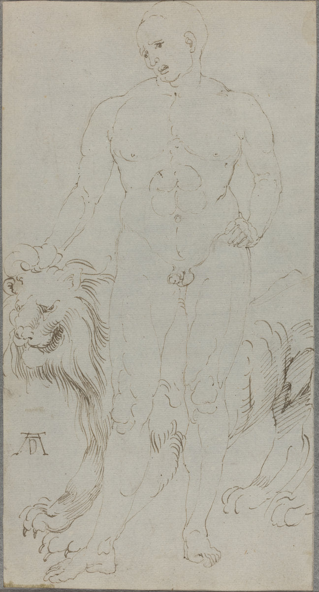 Male Nude with a Lion [verso] by Albrecht Dürer (German, 1471 - 1528), 16X12"(A3)Poster Print