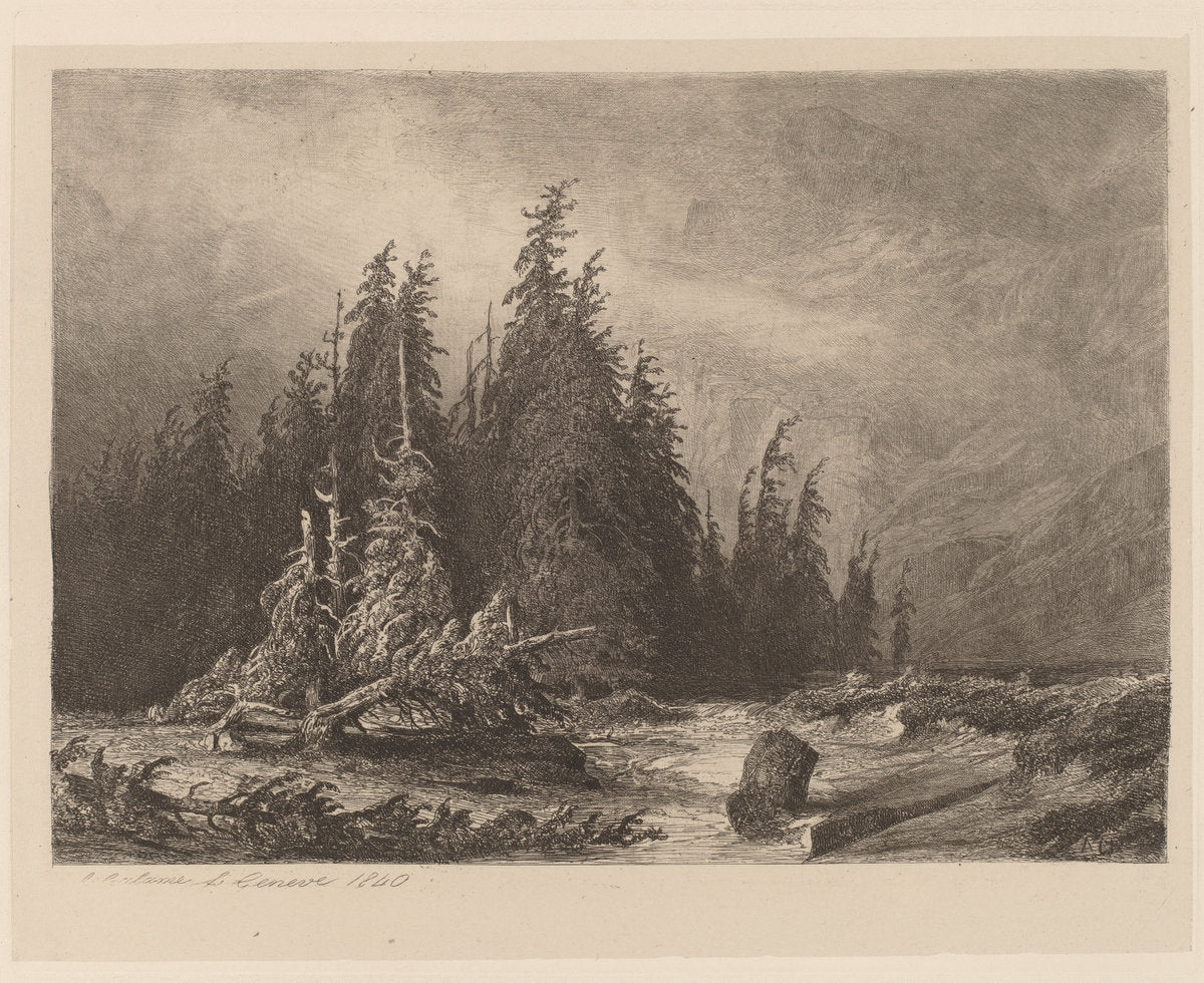Mountain PInes by Alexandre Calame (Swiss, 1810 - 1864), 16X12"(A3)Poster Print