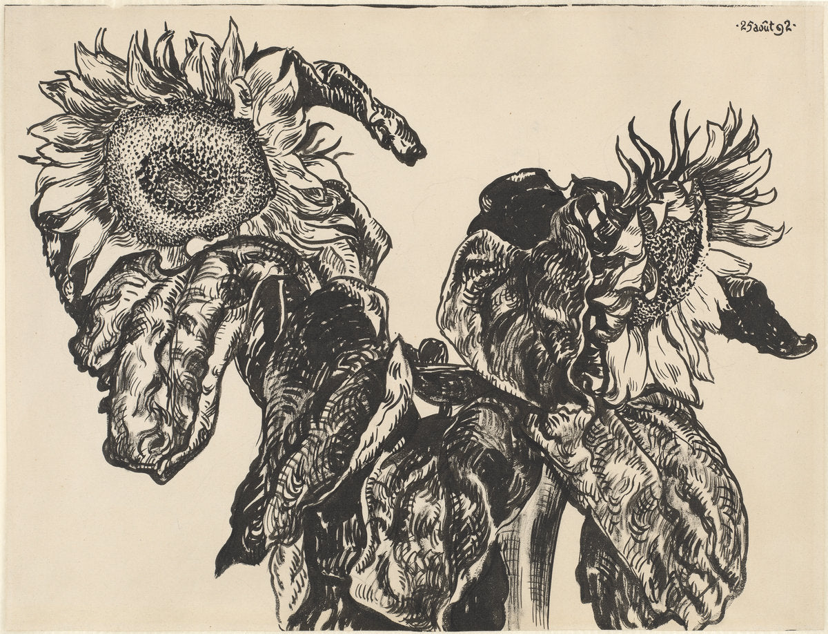Sunflowers by Georges Lemmen (Belgian, 1865 - 1916), 16X12"(A3)Poster Print
