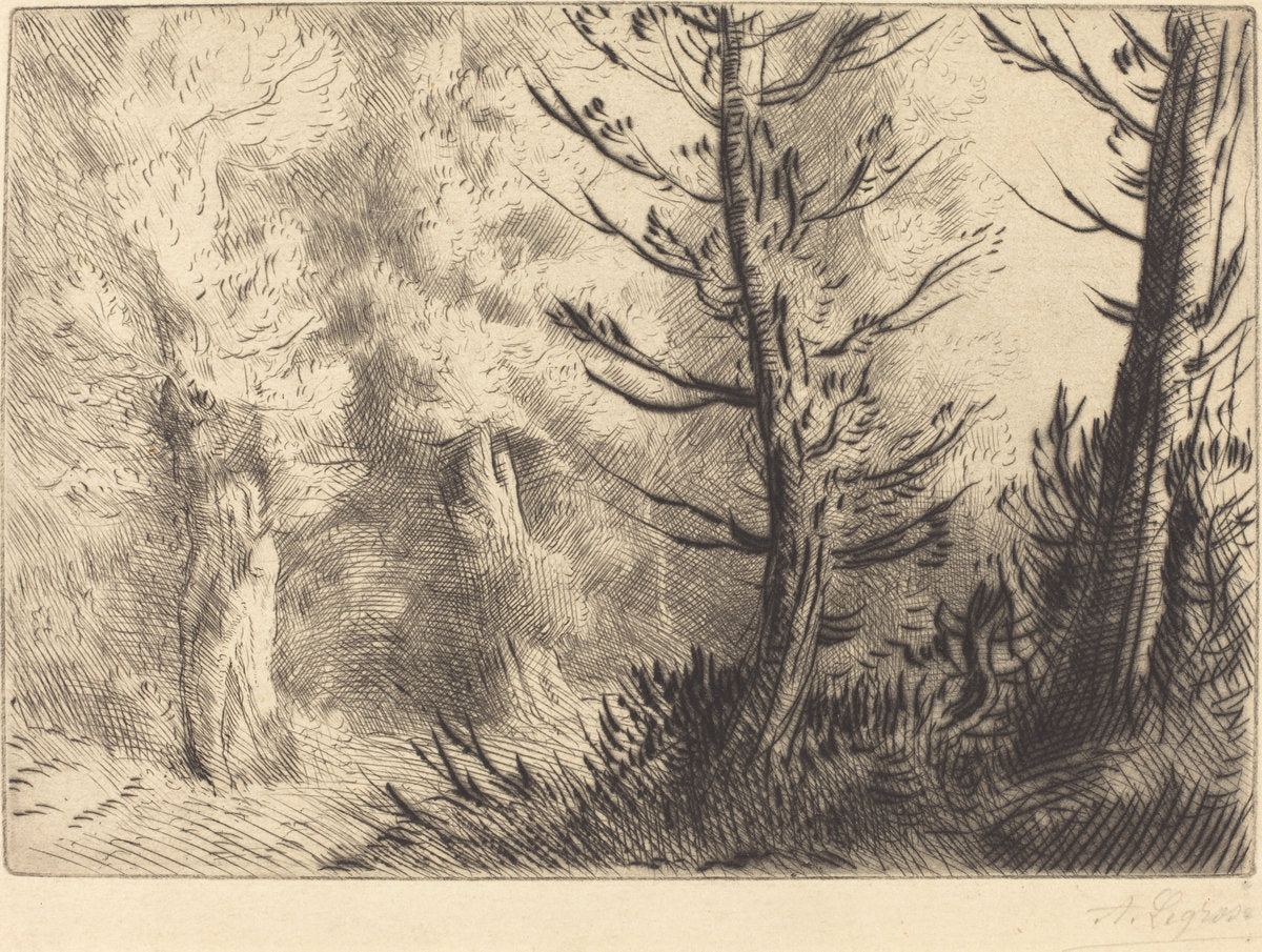 In the Forest of Fontainebleau (Dans le foret de Fontainebleau) by Alphonse Legros (French, 1837 - 1911), 16X12"(A3)Poster Print