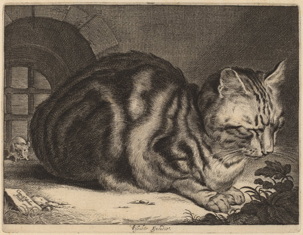 The Large Cat by Cornelis Visscher (Dutch, 1629 - 1662), 16X12"(A3)Poster Print