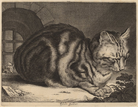 The Large Cat by Cornelis Visscher (Dutch, 1629 - 1662), 16X12"(A3)Poster Print