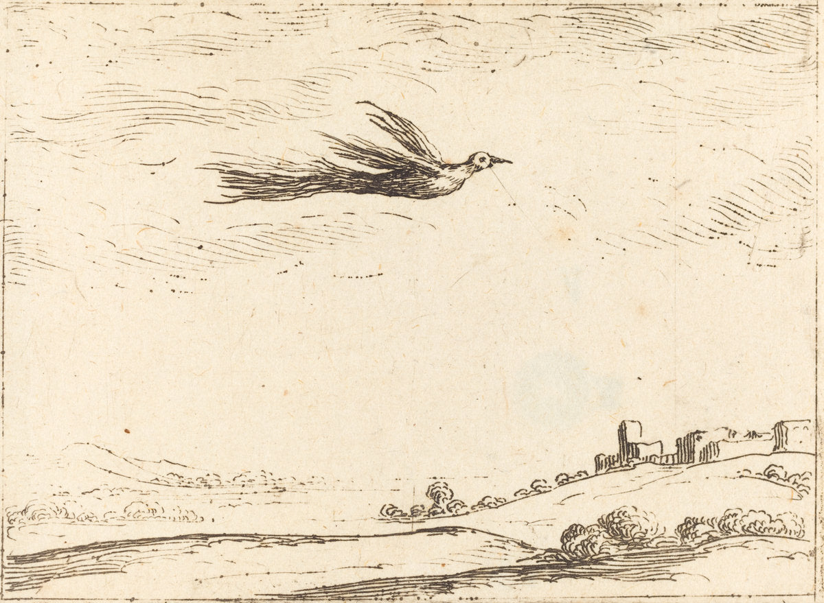 Bird of Paradise by Jacques Callot (French, 1592 - 1635), 16X12"(A3)Poster Print