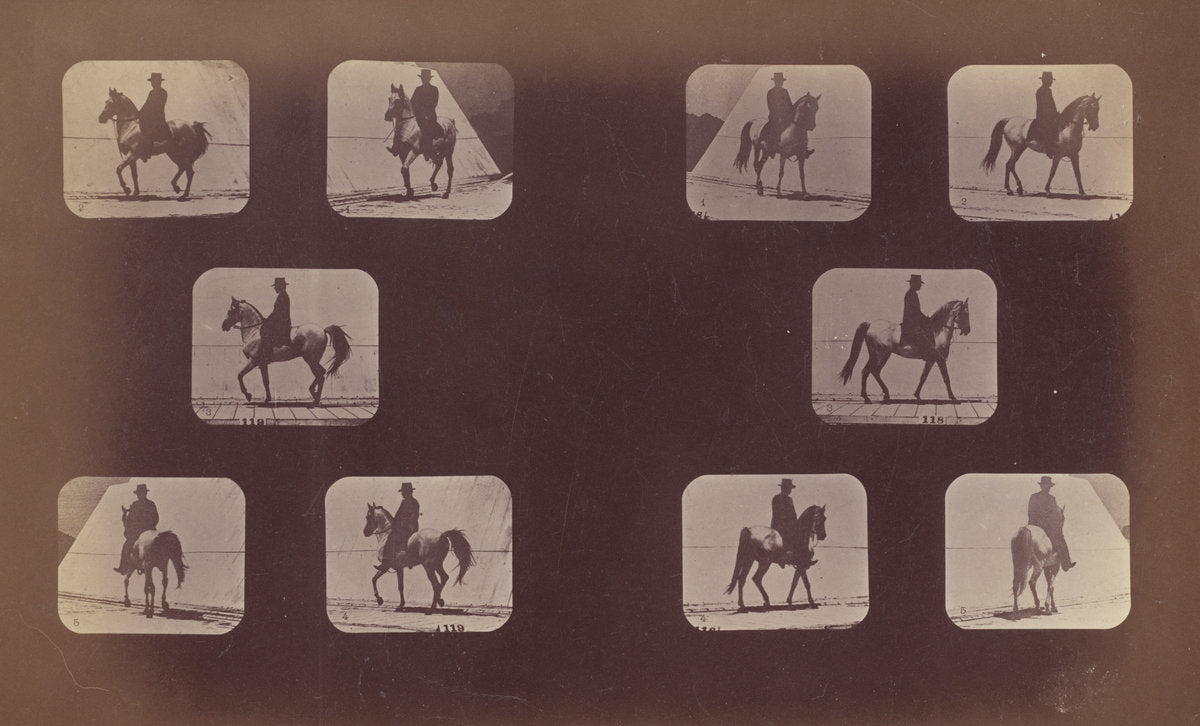 Studies of Foreshortenings. Horses. Walking. Mahomet. Nos. 119-120 by Eadweard Muybridge (American, born England, 1830 - 1904), 16X12"(A3)Poster Print