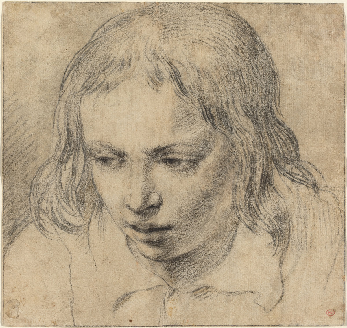 c. 1650 by Dutch 17th Century (Head of a Young Man [recto]), 16X12"(A3)Poster Print