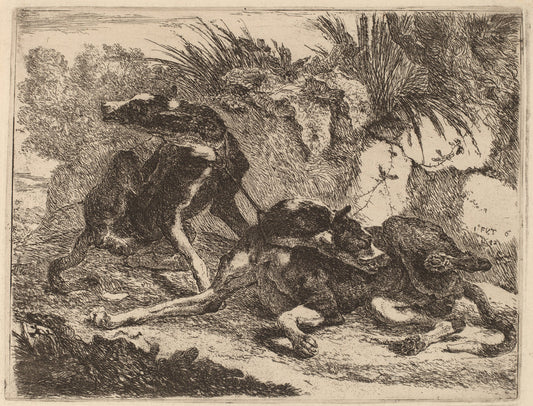 Two Greyhounds, Leashed and Facing Opposite Directions by Jan Fyt (Flemish, 1611 - 1661), 16X12"(A3)Poster Print