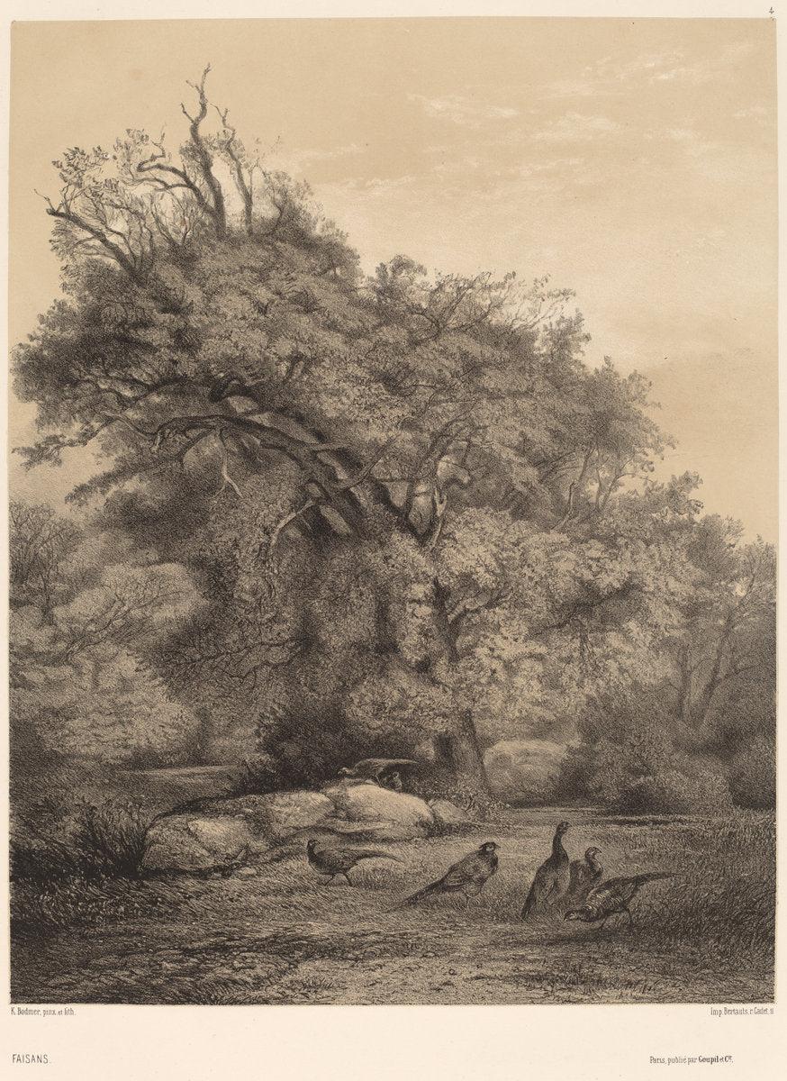 Faisans by Karl Bodmer (Swiss, 1809 - 1893), 16X12"(A3)Poster Print