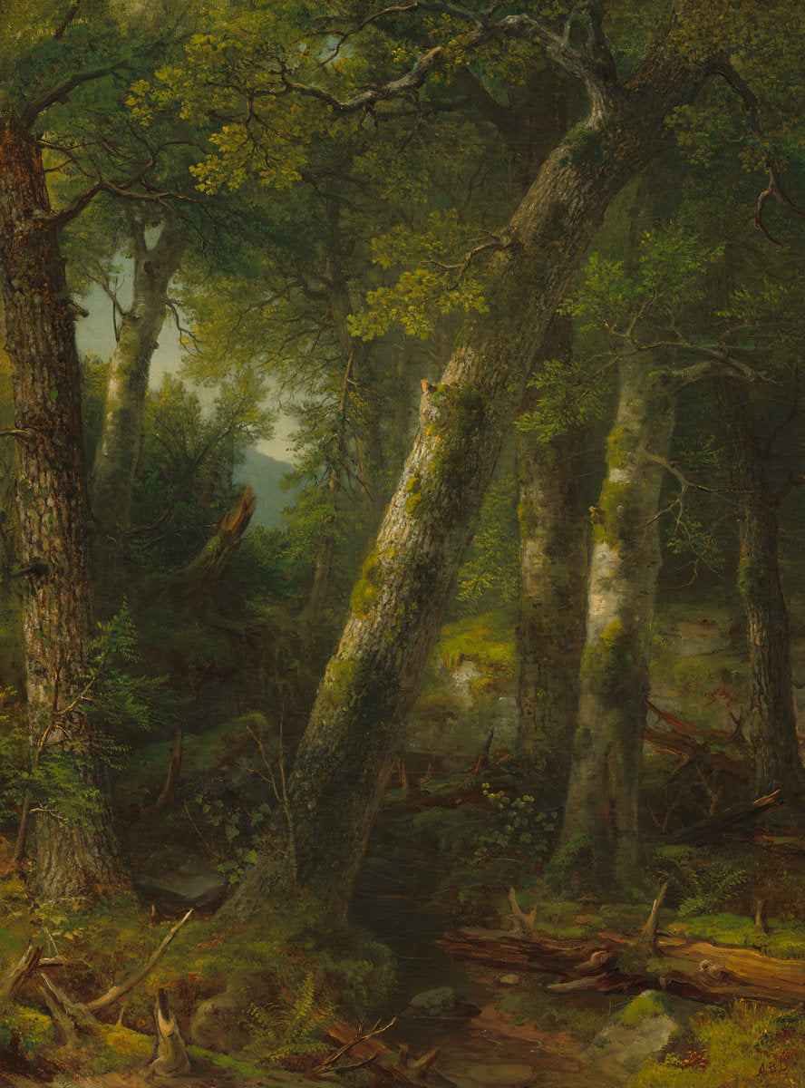 Forest in the Morning Light by Asher Brown Durand (American, 1796 - 1886), 16X12"(A3)Poster Print