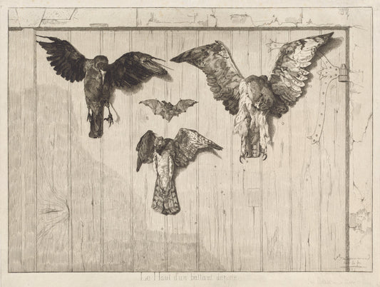 Birds Nailed to a Barn Door (Le haut d'un battant de porte) by Félix Bracquemond (French, 1833 - 1914), 16X12"(A3)Poster Print