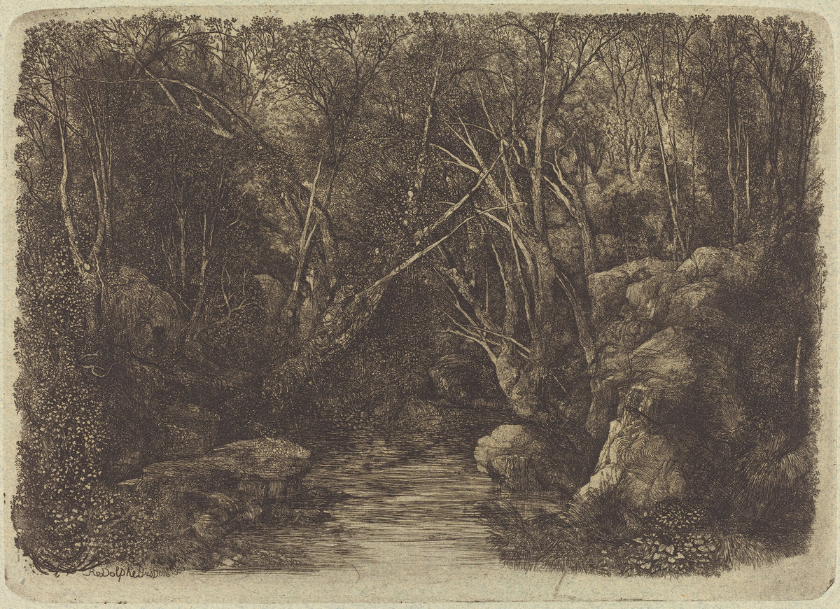 The Brook in the Woods by Rodolphe Bresdin (French, 1822 - 1885), 16X12"(A3)Poster Print