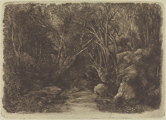The Brook in the Woods by Rodolphe Bresdin (French, 1822 - 1885), 16X12"(A3)Poster Print