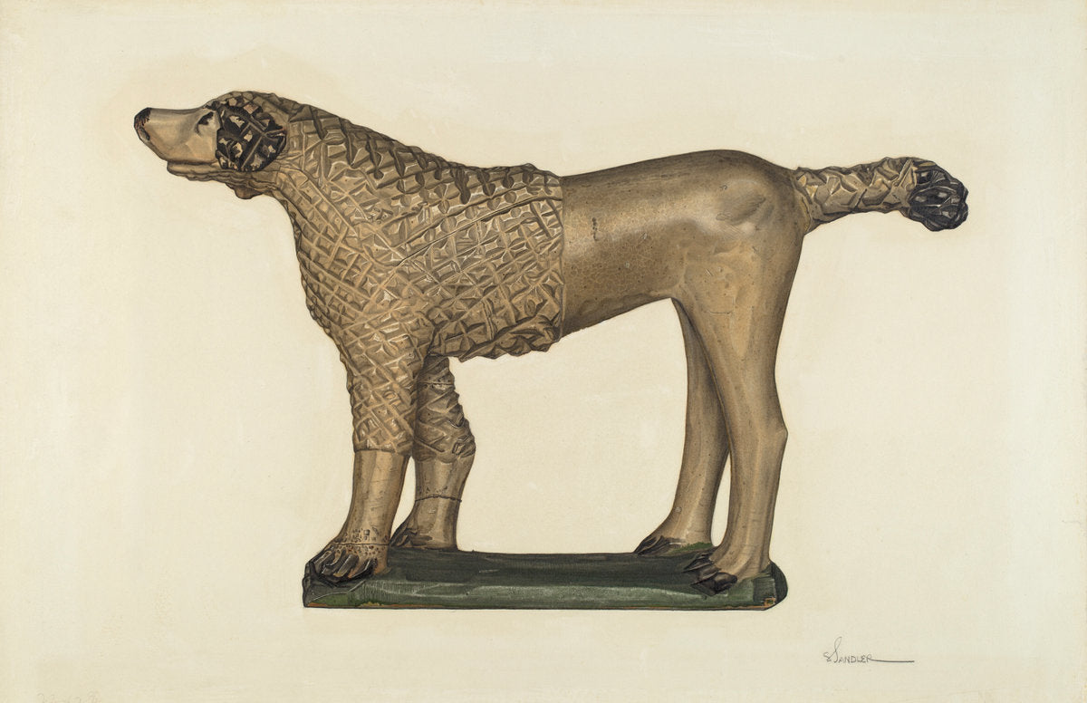 Poodle by Selma Sandler (American, active c. 1935), 16X12"(A3)Poster Print